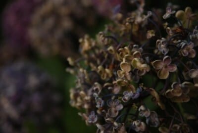 タクシーの無賃乗車