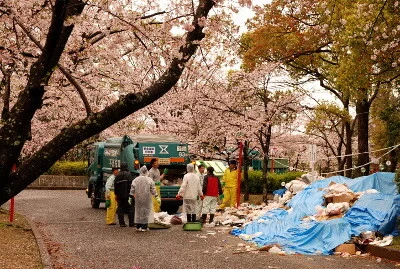 向山公園（2016年4月4日）桜
