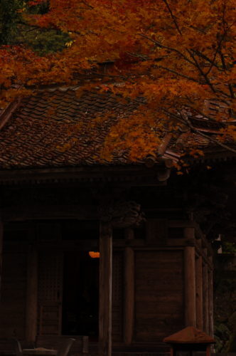 43番札所明石寺にて　もう季節はすでに秋で枯葉が屋根に積もっていた