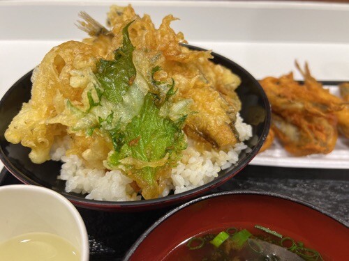 地魚天ぷら丼