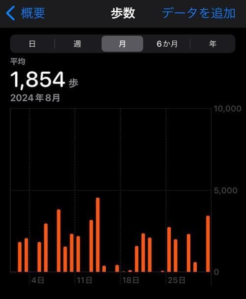 2024年8月歩数