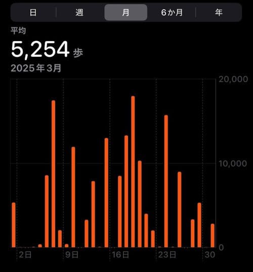 歩数2025年3月