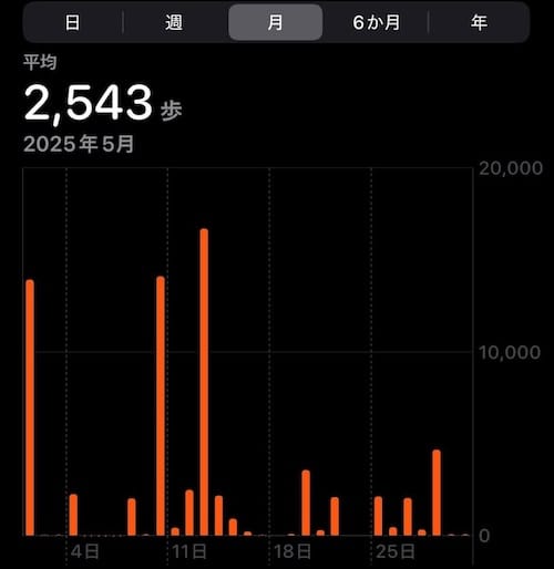 2025年5月の歩行数