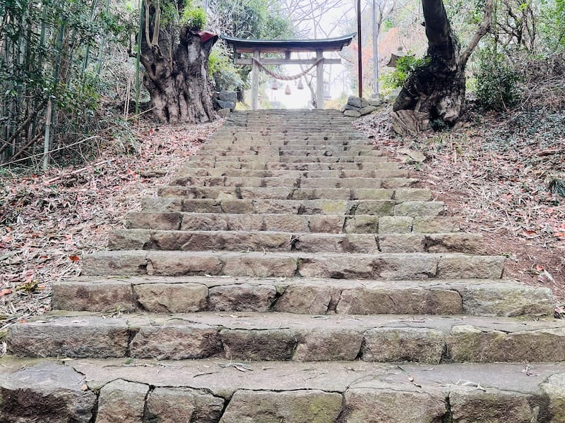 秋葉神社(西浦町)参道