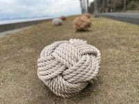 ヤシノミの冒険（蒲郡ベンチアート006）