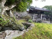 大蔵寺の山門と名木