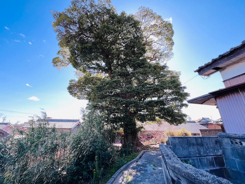 会下のタブのキ