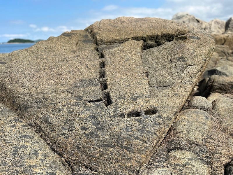 名古屋城 福島正則・加藤清正採石跡にある福島正則の刻印石