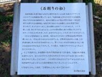 石割りの松解説板