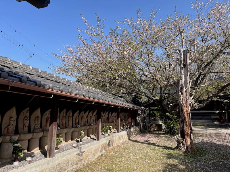 光明寺の三十三観音