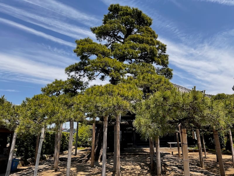 光忠寺 – 形原松平家の墓所