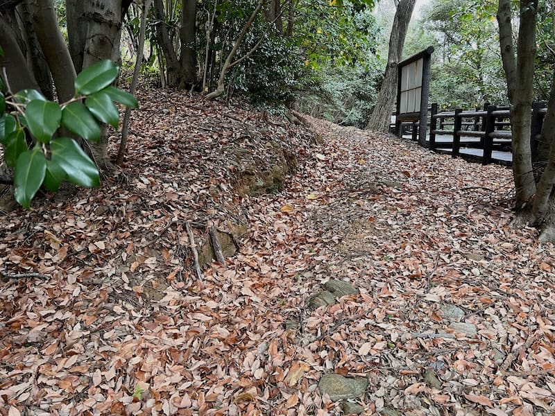 三河地震による地割れ