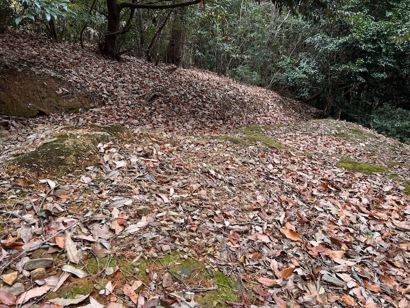 三河地震による地割れ2