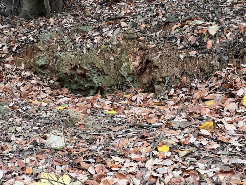 三河地震による地割れ3