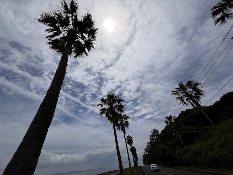 西浦シーサイドロード