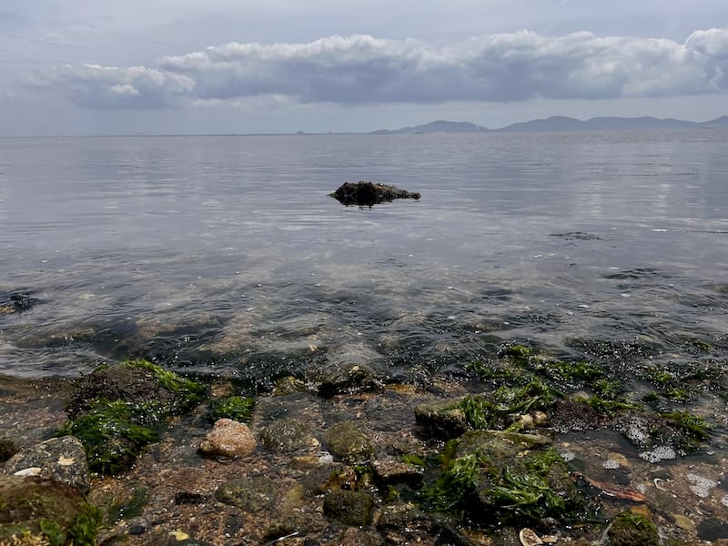 西浦シーサイドロード – 西浦町