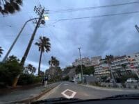 西浦温泉とヤシの木