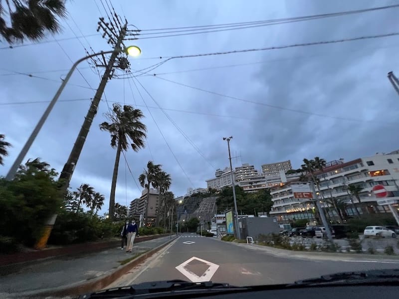 西浦温泉とヤシの木