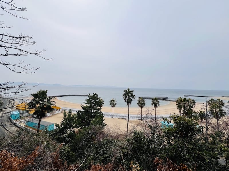 高台からビーチを望む