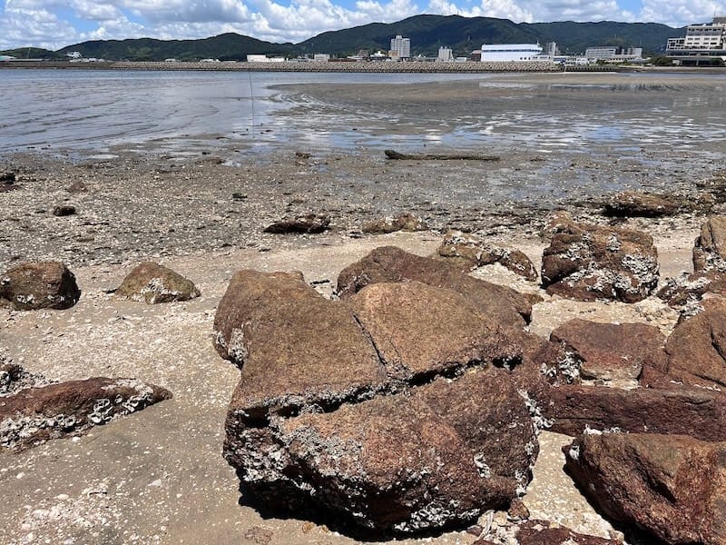 竹島石切場の矢穴石