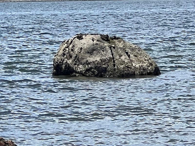 沖合の矢穴石（残石）