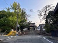 安楽寺のマツ　惣門