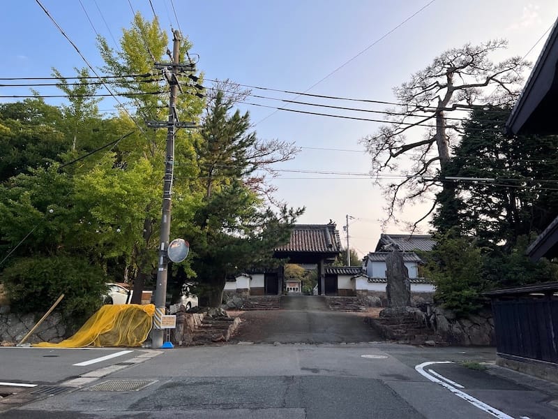 安楽寺のマツ　惣門