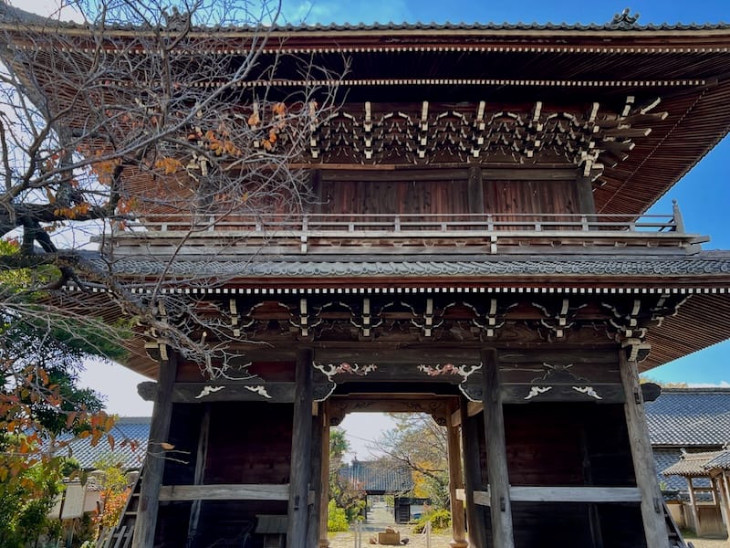 安楽寺と日曜院のマツ – 蒲郡の名木50選 18 – 清田町