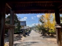 安楽寺惣門前の松とムクノキ跡