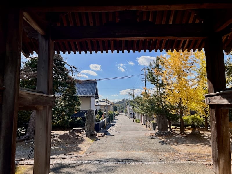 安楽寺惣門前の松とムクノキ跡