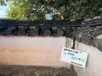 安楽寺のムクノキ(2)　境内の標識板