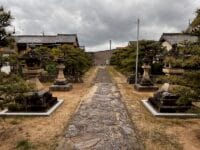 長存寺の松　山門から参道