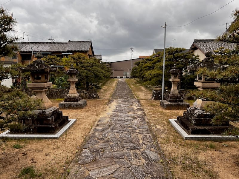 長存寺の松　山門から参道