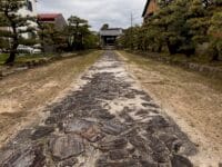 長存寺のマツ　参道