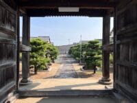 長存寺の松　境内から
