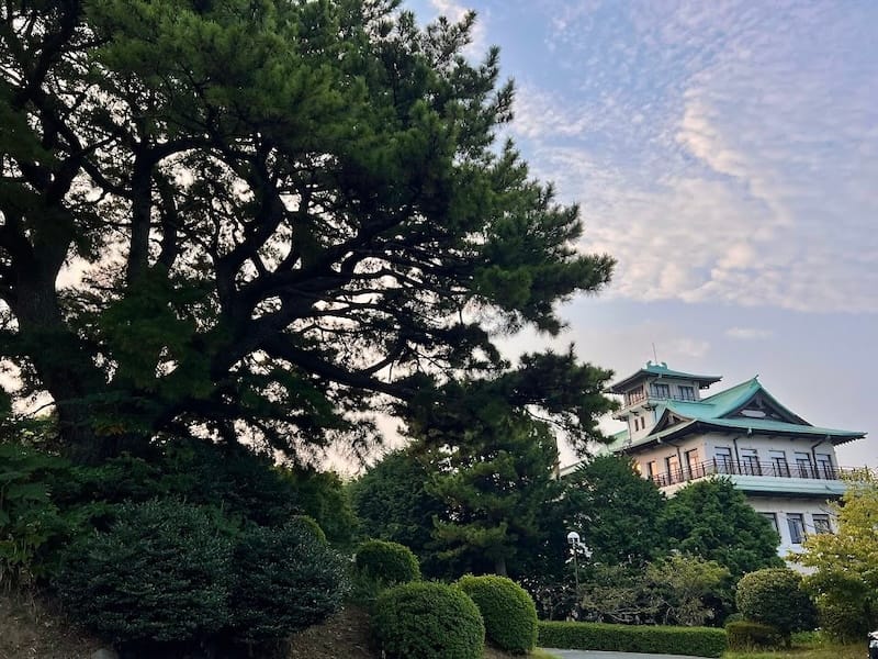 蒲郡クラシックホテルの大マツ – 蒲郡の名木50選 28 – 竹島町