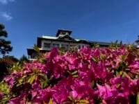 蒲郡クラシックホテルのツツジ