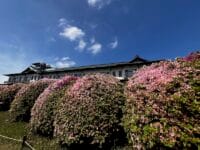 蒲郡クラシックホテルのツツジ