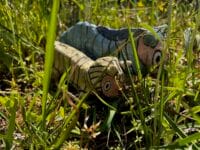 蒲郡クラシックホテル　庭園内の動物の模型