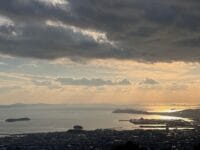 蒲郡の名木50選