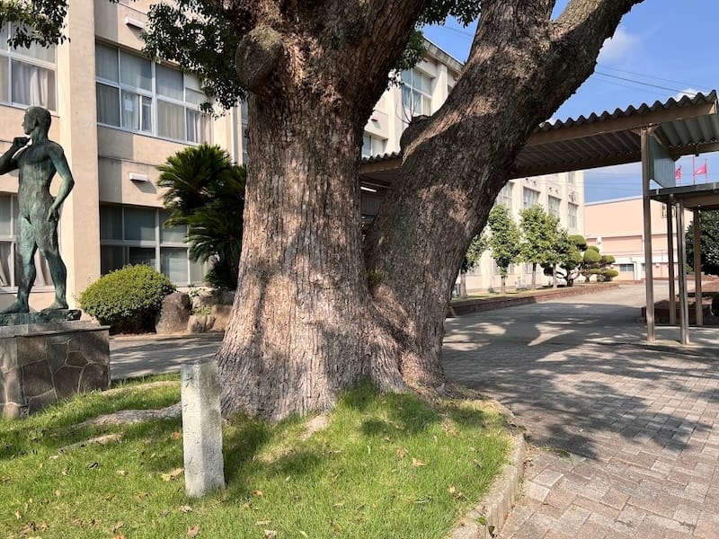 蒲郡高校のクス 根本 大礼記念碑