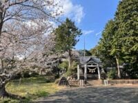 八幡神社　春