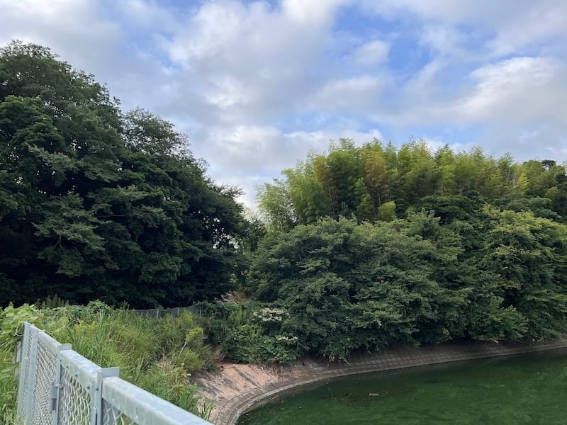 羽栗池　御嶽神社方面