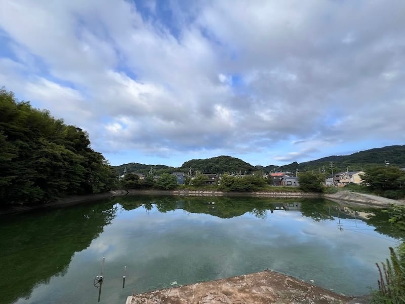 羽栗池　水面