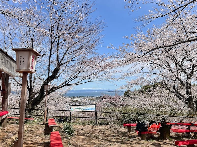 春日山からの風景