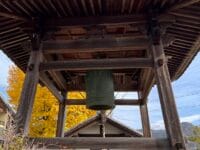 鐘堂と大イチョウ