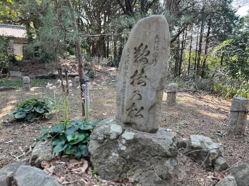 鞍掛の松の碑