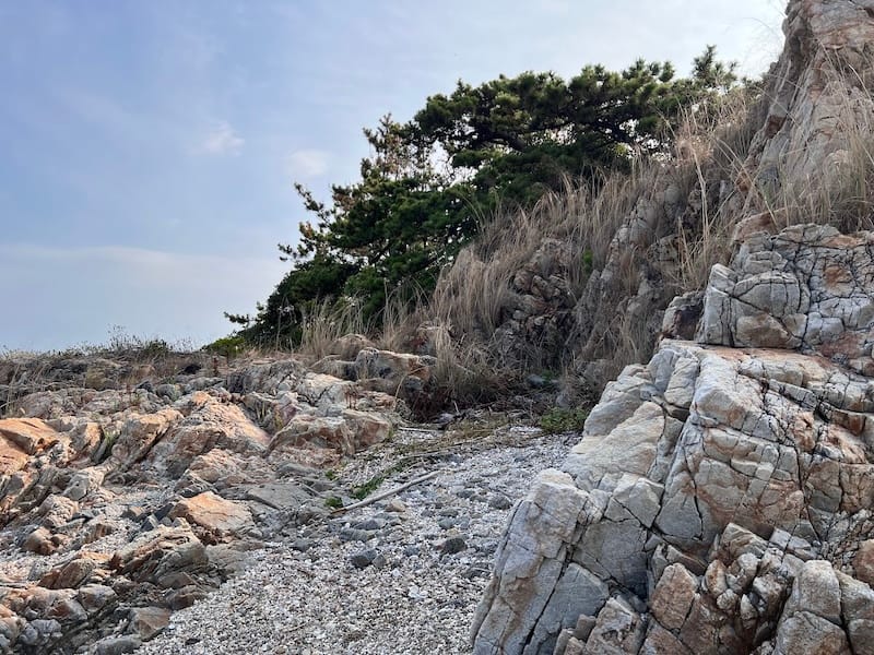 西側の海岸から