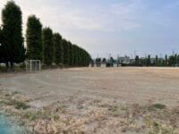 形原中学校のメタセコイア　北側から