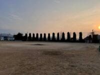 形原中学校のメタセコイア　春日通りから